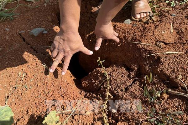 Lâm Đồng di dời người dân ra khỏi khu vực đồi thông 35 ha có nguy cơ sạt lở