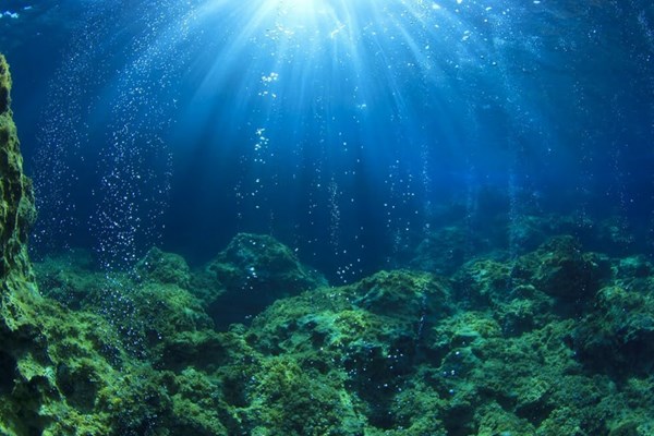 Nỗ lực tái tạo oxy tại vùng Biển Baltic