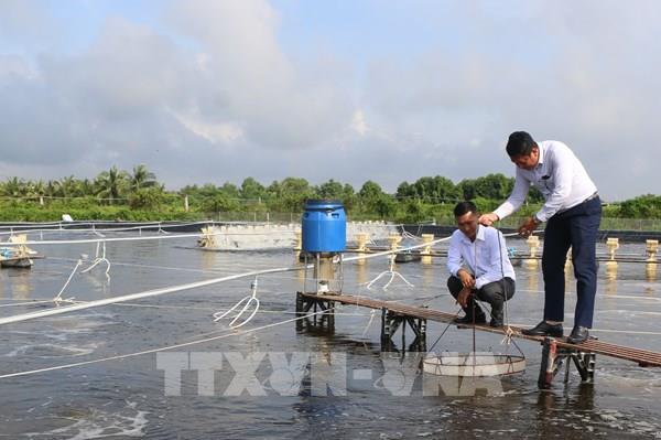 "Giấy thông hành" cho sản phẩm nông, thủy sản tiếp cận thị trường quốc tế