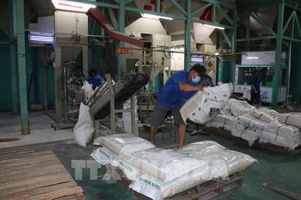 Long An: Nhân rộng mô hình tổ hợp tác, hợp tác xã ứng dụng công nghệ cao