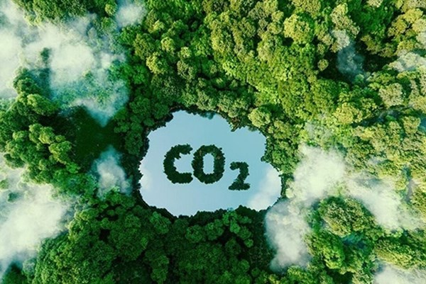 Xây dựng khung pháp lý hoàn chỉnh cho thị trường tín chỉ carbon