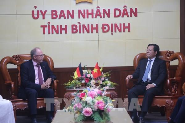 Bình Định thúc đẩy dự án điện gió ngoài khơi với tổng mức đầu tư 4,6 tỷ USD