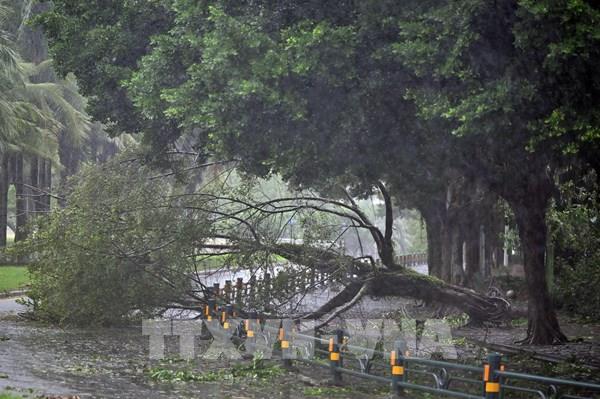 Trung Quốc: Thiệt hại kinh tế do thiên tai ngày càng trầm trọng
