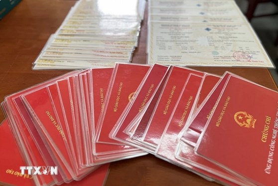 Tuyên phạt án tù 53 bị cáo trong đường dây làm 1.000 văn bằng, chứng chỉ giả