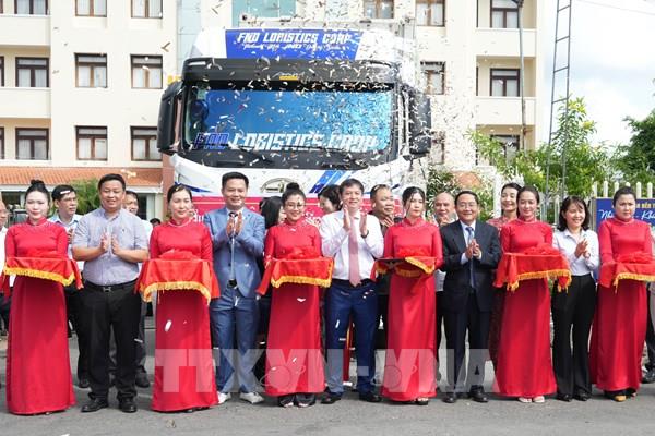 Bến Tre xuất khẩu chính ngạch dừa tươi sang thị trường Trung Quốc