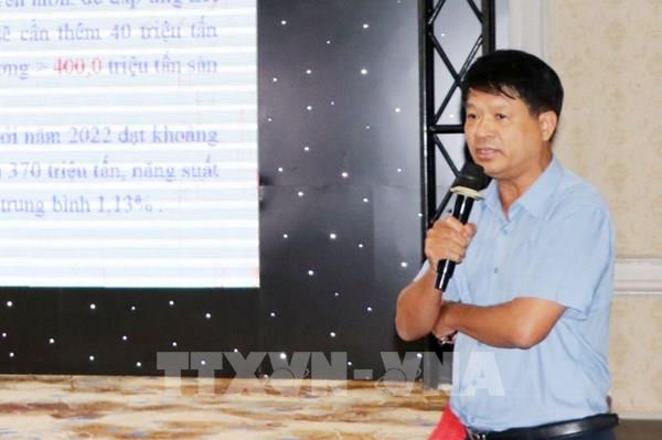 Tìm giải pháp đưa miền Bắc thành vùng nguyên liệu khoai tây chủ lực