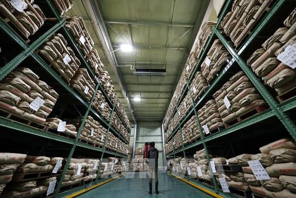 Giá gạo Nhật Bản thiết lập kỷ lục mới