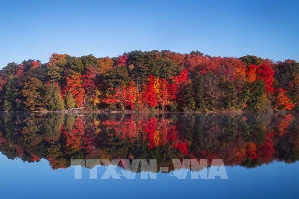 Cảnh sắc mùa Thu tuyệt đẹp trên thế giới