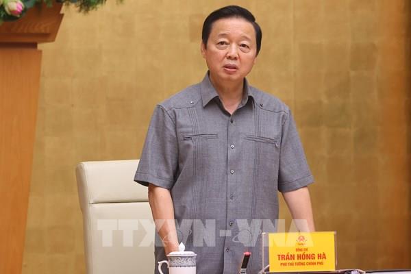 Phó Thủ tướng: Xóa bỏ toàn bộ tàu cá “3 không” trước ngày 20/11