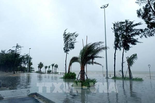 Đà Nẵng cảnh báo cấp độ 1 rủi ro thiên tai do mưa lớn