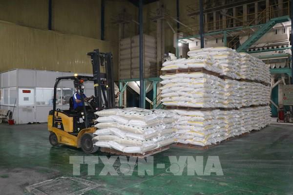 Thị trường nông sản: Hai nhà xuất khẩu và nhập khẩu lớn có động thái mạnh