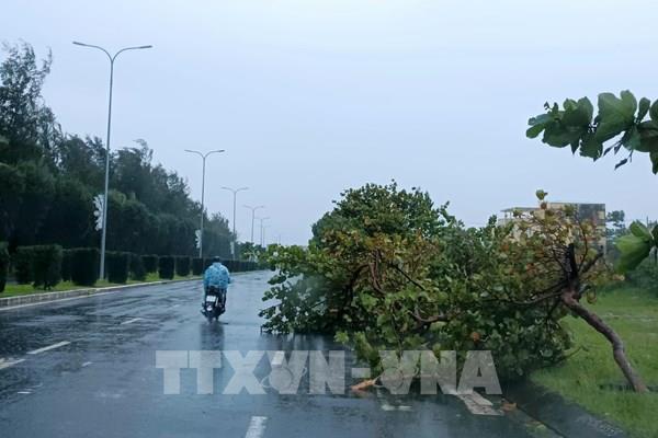 Đà Nẵng đang nỗ lực xử lý các sự cố về điện do ảnh hưởng bão số 6