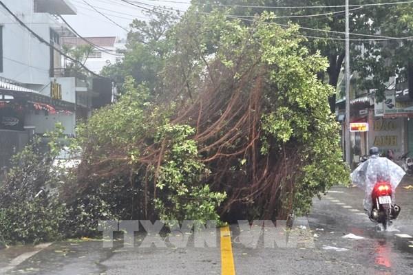 Bão số 6: Thừa Thiên – Huế ghi nhận hai người dân thiệt mạng