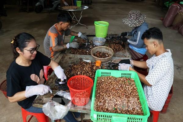 Không để nông dân đứng riêng lẻ "một mình một chợ"