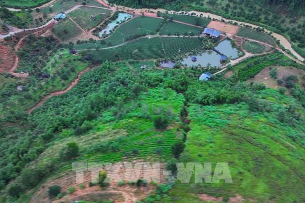 Lâm Đồng chủ động xử lý nguy cơ sạt lở đồi đất tại huyện Bảo Lâm