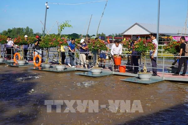 Đồng Tháp có thêm tour du lịch “Sắc màu vùng biên - Đất Sen hồng”