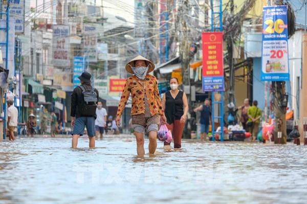 Dự báo triều cường ở Cần Thơ sẽ vượt báo động 3 từ 20 – 30cm