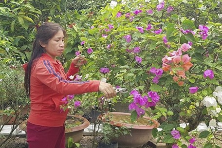 Khởi nghiệp từ vốn chính sách: "Đòn bẩy" phát triển kinh tế nông thôn