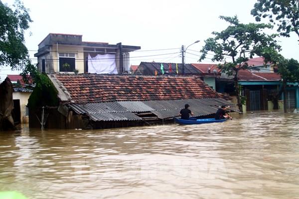 Nông dân Quảng Bình trắng tay sau lũ