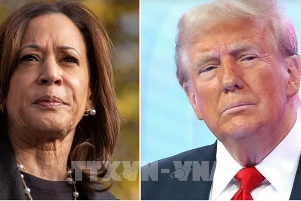 Trực tiếp bầu cử Mỹ: Những chiến thắng đầu tiên của ông Trump và bà Harris