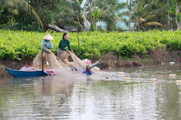 Mô hình rừng - thủy sản cho nông dân thu nhập bền vững
