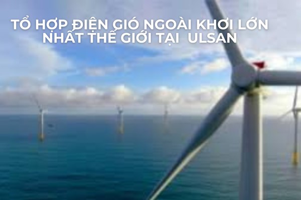 Hàn Quốc: Thành phố Ulsan đầu tư xây dựng tổ hợp điện gió ngoài khơi lớn nhất thế giới