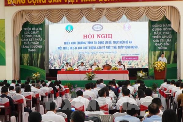 Triển khai Chương trình tín dụng ưu đãi thực hiện Đề án 1 triệu ha lúa chất lượng cao