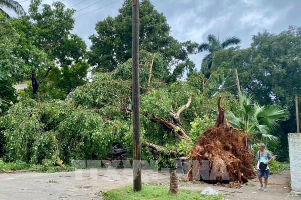 Bão Rafael mạnh trở lại thành bão cấp 3