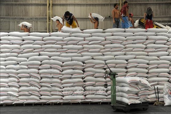 Nhập khẩu gạo của Philippines tăng mạnh trong năm nay
