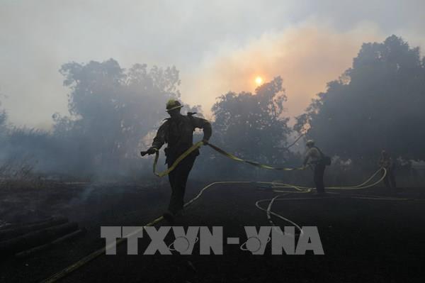 Cháy rừng khiến chất lượng không khí ở New York xấu đi