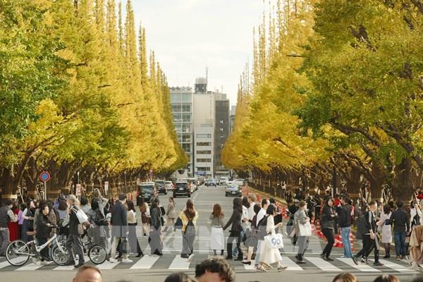 Tokyo - thành phố lớn tốt nhất thế giới