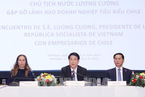 Chủ tịch nước Lương Cường gặp gỡ lãnh đạo doanh nghiệp tiêu biểu Chile