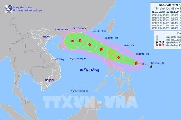 Từ Quảng Ninh đến Bình Định chủ động ứng phó bão số 8