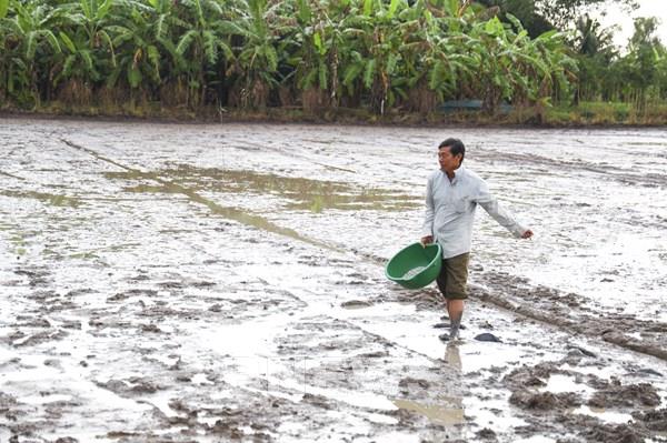 Thuế VAT với phân bón: Doanh nghiệp cần chia sẻ lợi ích cùng nông dân