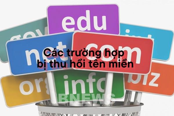 Các trường hợp bị thu hồi tên miền