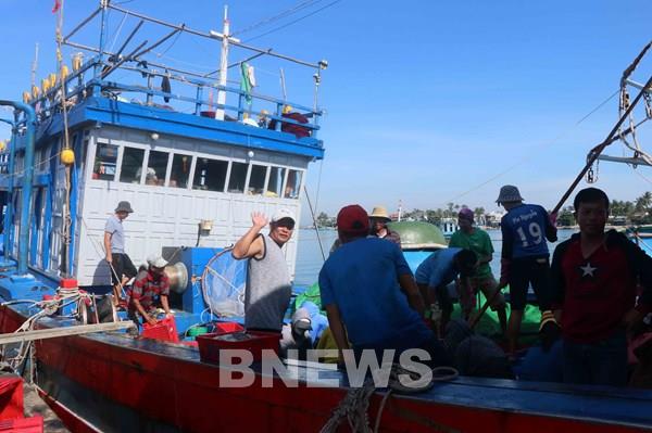 Quảng Nam đặt mục tiêu xử lý 80 tàu cá "3 không"
