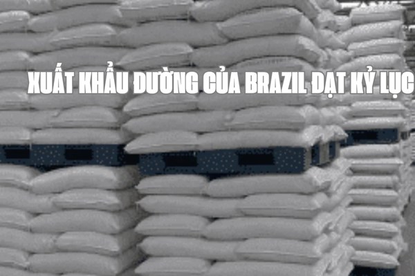 Xuất khẩu đường của Brazil đạt kỷ lục mới