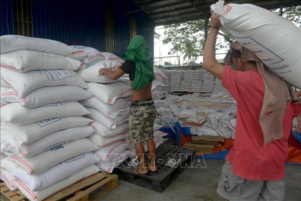 Nhập khẩu gạo của Philippines có thể đạt kỷ lục mới
