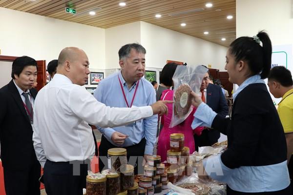Bộ Công Thương đồng hành xúc tiến thương mại các sản phẩm chủ lực của Cà Mau