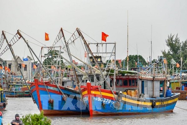Thanh Hoá đưa 55 tàu ra khỏi danh sách nguy cơ vi phạm khai thác IUU