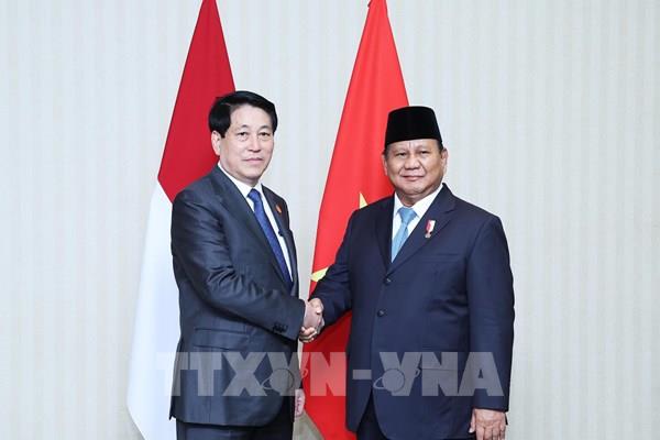 Chủ tịch nước Lương Cường gặp Tổng thống Indonesia nhân dịp dự Tuần lễ cấp cao APEC