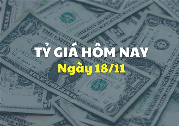 Tỷ giá hôm nay 18/11: Giá USD và NDT cùng giảm