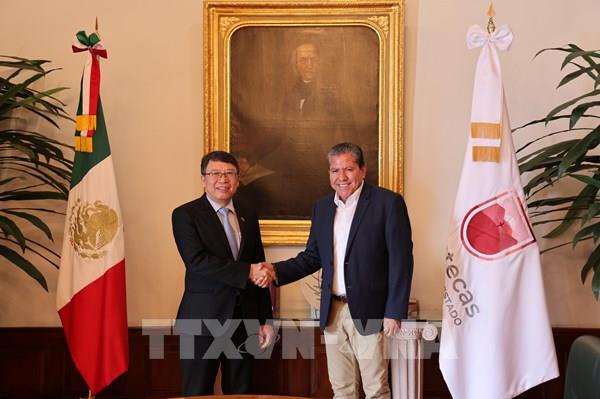 Việt Nam tìm kiếm cơ hội hợp tác với các địa phương Mexico