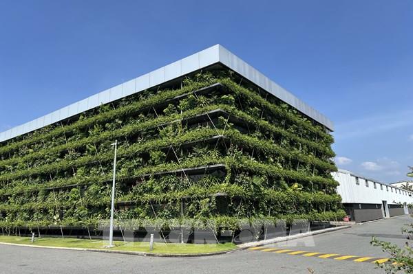 Chuyển đổi xanh giúp bất động sản thu hút và giữ chân khách hàng