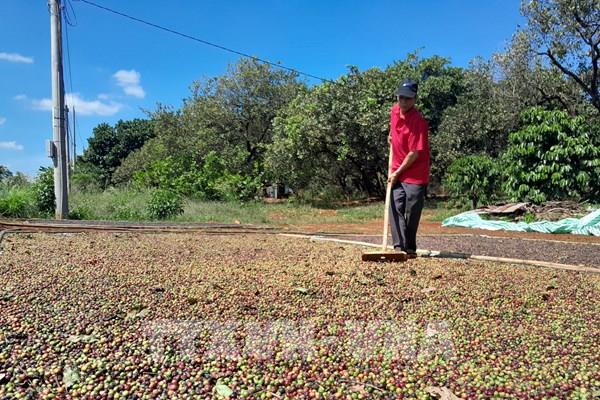 Thị trường hàng hóa nguyên liệu trầm lắng trong ngày nghỉ Lễ Tạ ơn