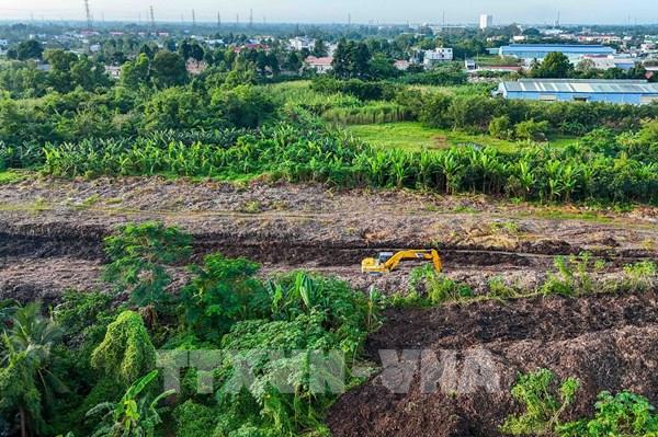 Rửa mặn với diện tích đất lúa bị thiệt hại do nhiễm mặn cạnh cao tốc Cần Thơ - Cà Mau