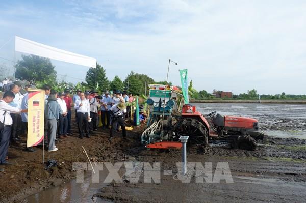 Long An khởi động đề án một triệu héc-ta chuyên canh lúa chất lượng cao