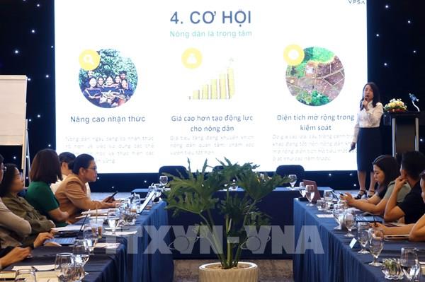 Giải pháp phát triển hồ tiêu bền vững