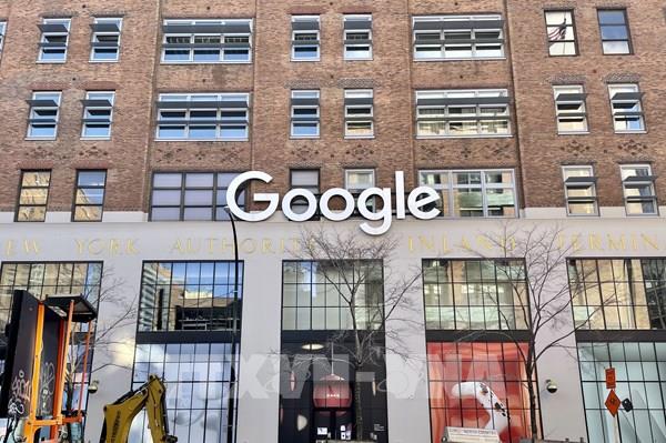 Google "đặt cược" vào điện toán lượng tử