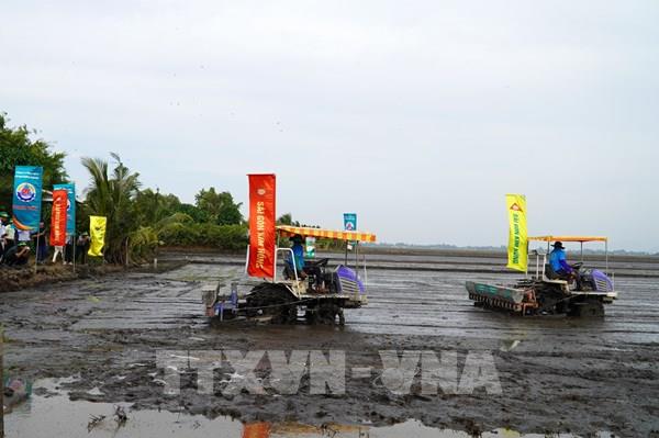 Giải pháp mở rộng vùng chuyên canh lúa chất lượng cao ở ĐBSCL